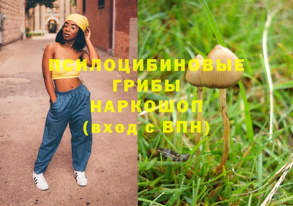 стафф Волоколамск