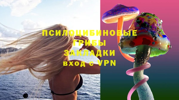 стафф Волоколамск