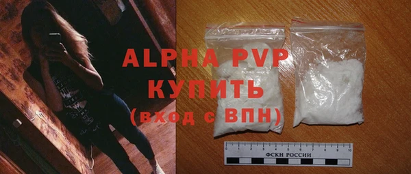 гидра Вязьма