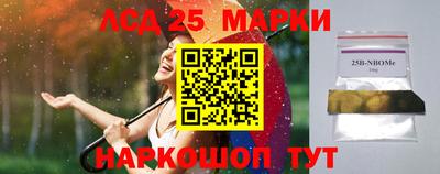 Альфа ПВП Бийск