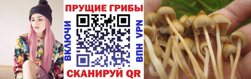 Галлюциногенные грибы GOLDEN TEACHER ссылка на мегу Ефремов наркота