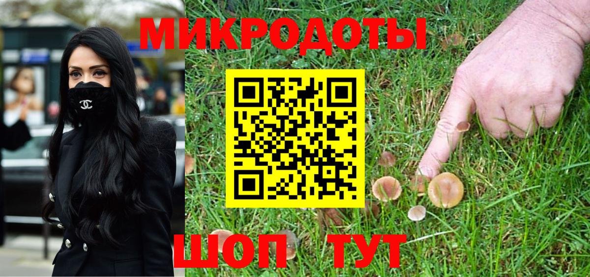 Галлюциногенные грибы MAGIC MUSHROOMS  Ефремов  Псилоцибиновые грибы Psilocybe 