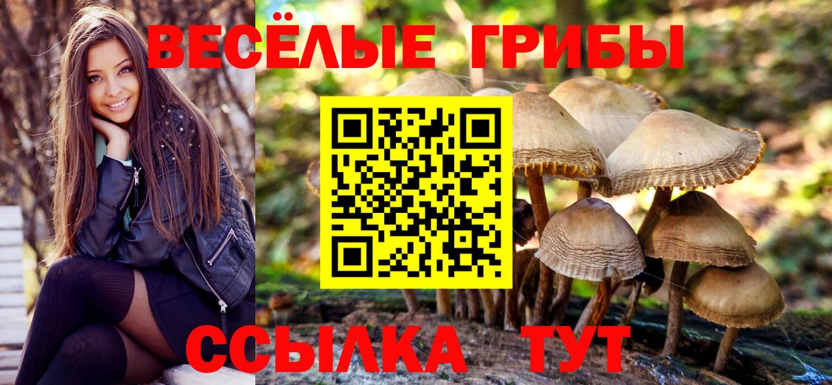 Ефремов  Галлюциногенные грибы Magic Shrooms  Вход с VPN 